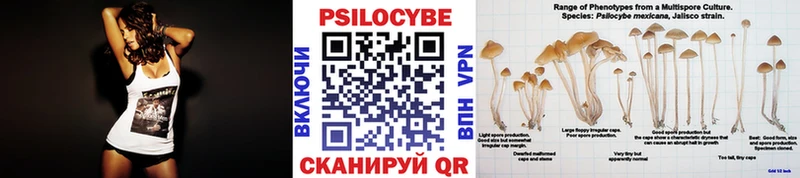 Псилоцибиновые грибы прущие грибы  Купить где  Данилов 